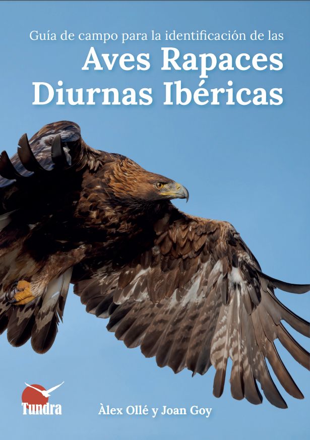 Gu A De Campo Para La Identificaci N De Las Aves Rapaces Diurnas Ib Ricas