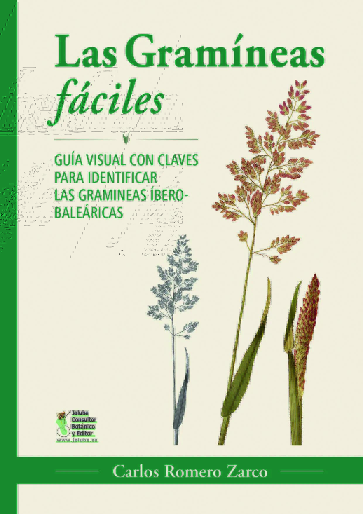 Click para ampliar Las gramíneas fáciles