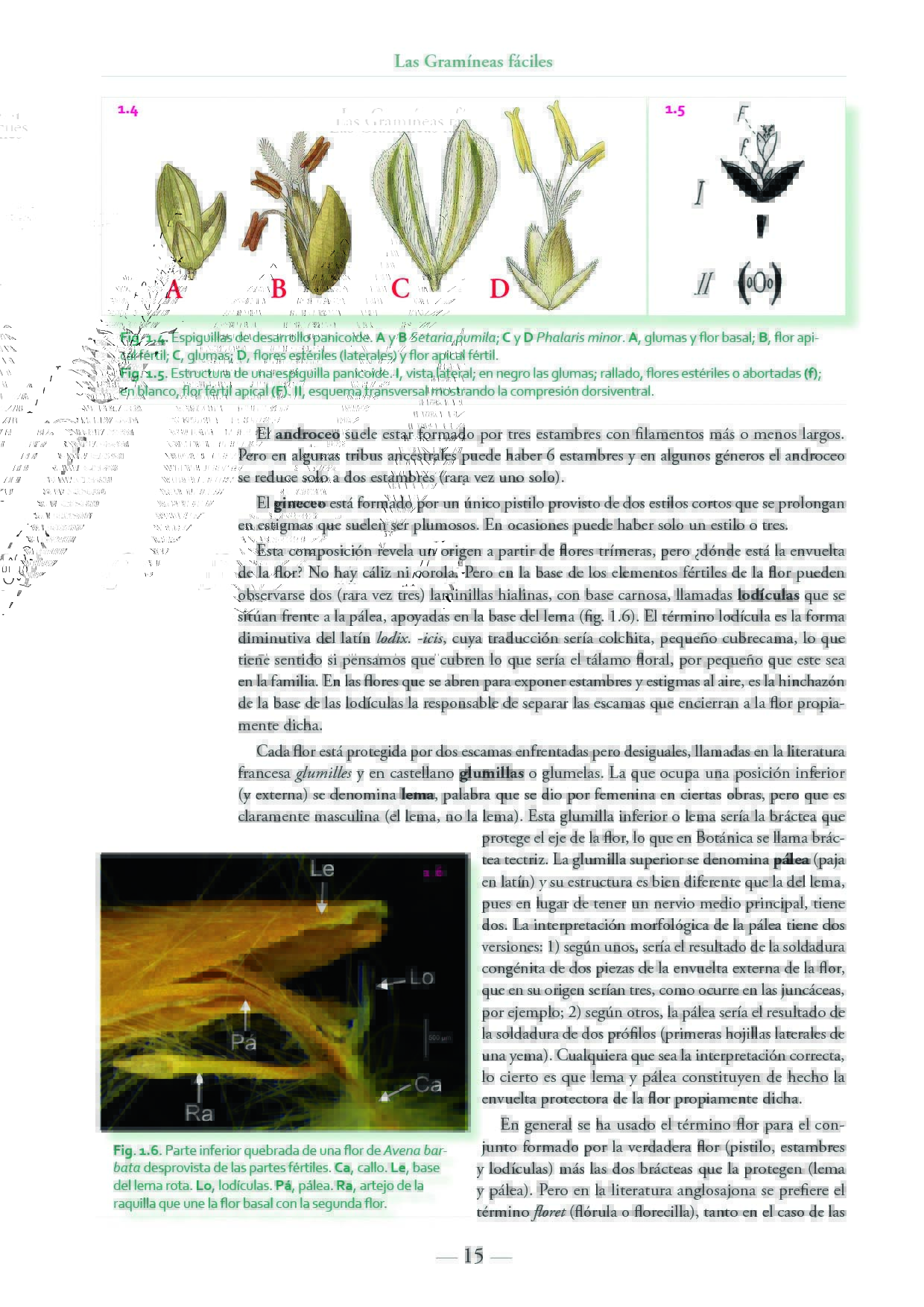 Click para ampliar 2
