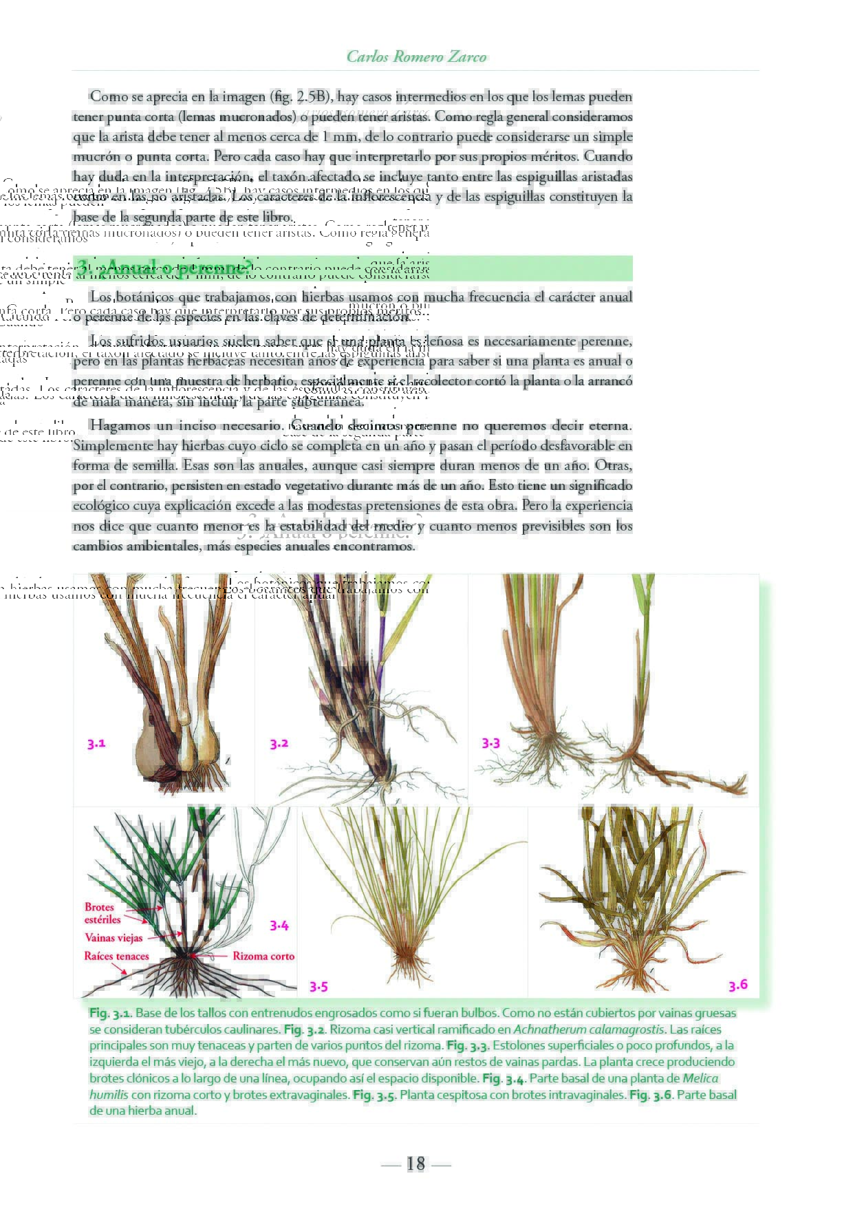 Click para ampliar 4