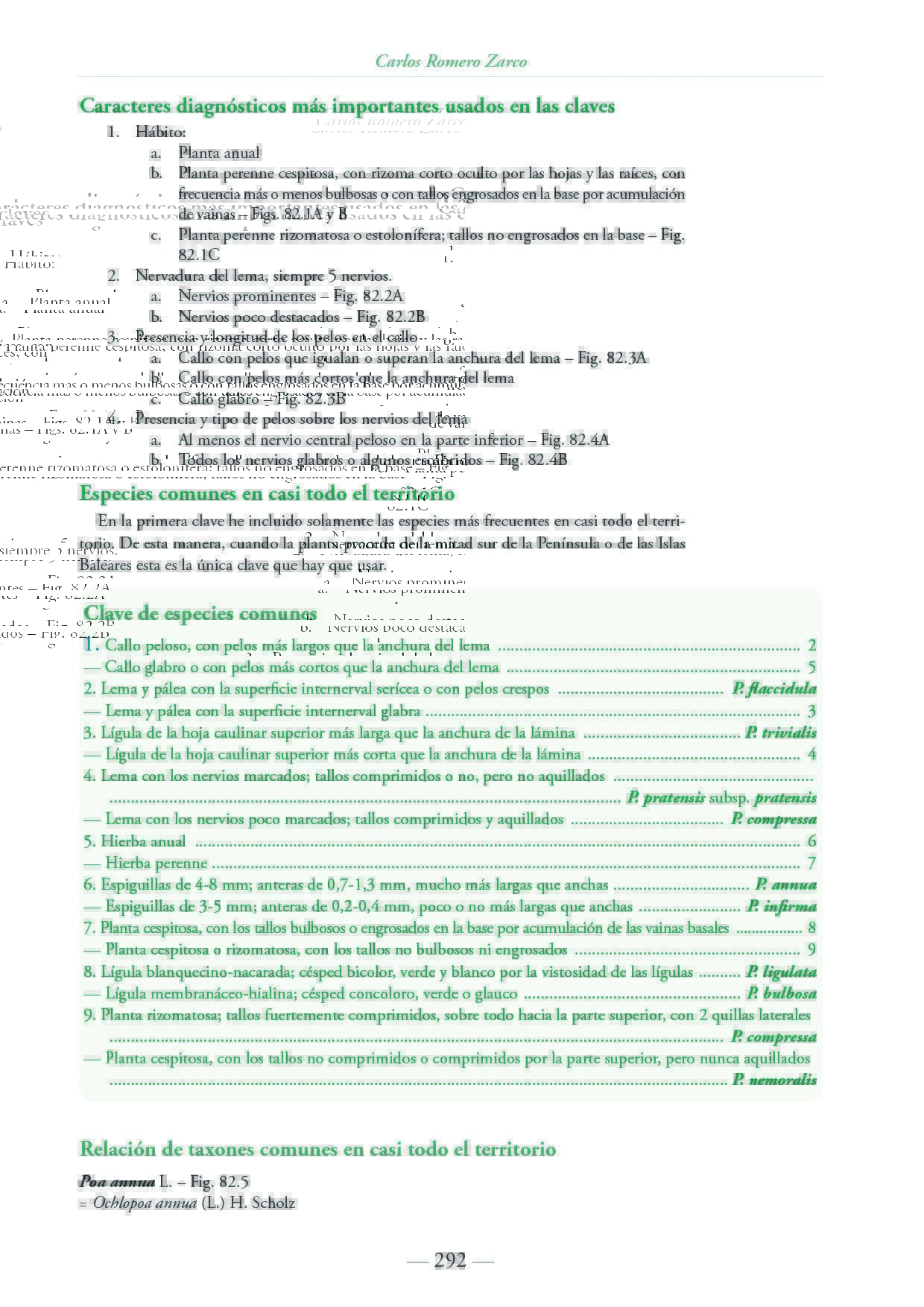 Click para ampliar 6
