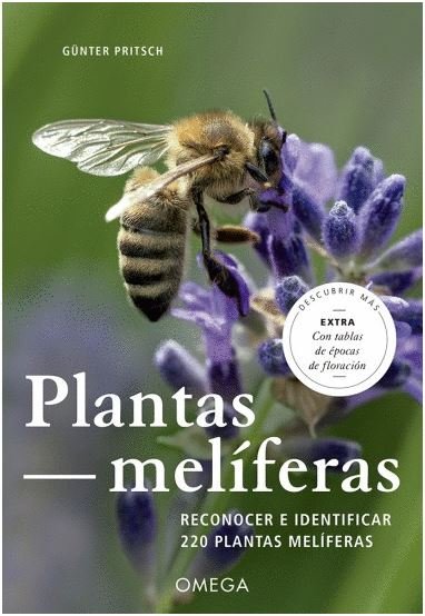 Plantas melíferas Plantas melíferas