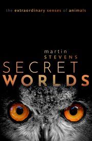 Click para ampliar Secret Worlds