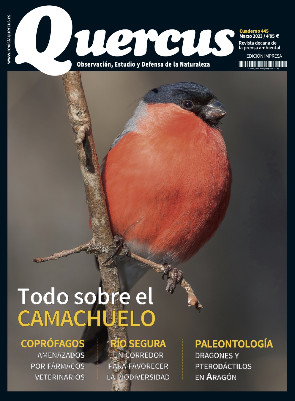 Click para ampliar Quercus 445