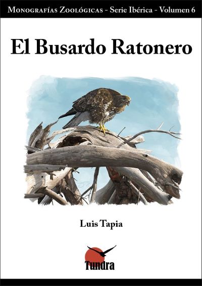 El Busardo Ratonero El Busardo Ratonero
