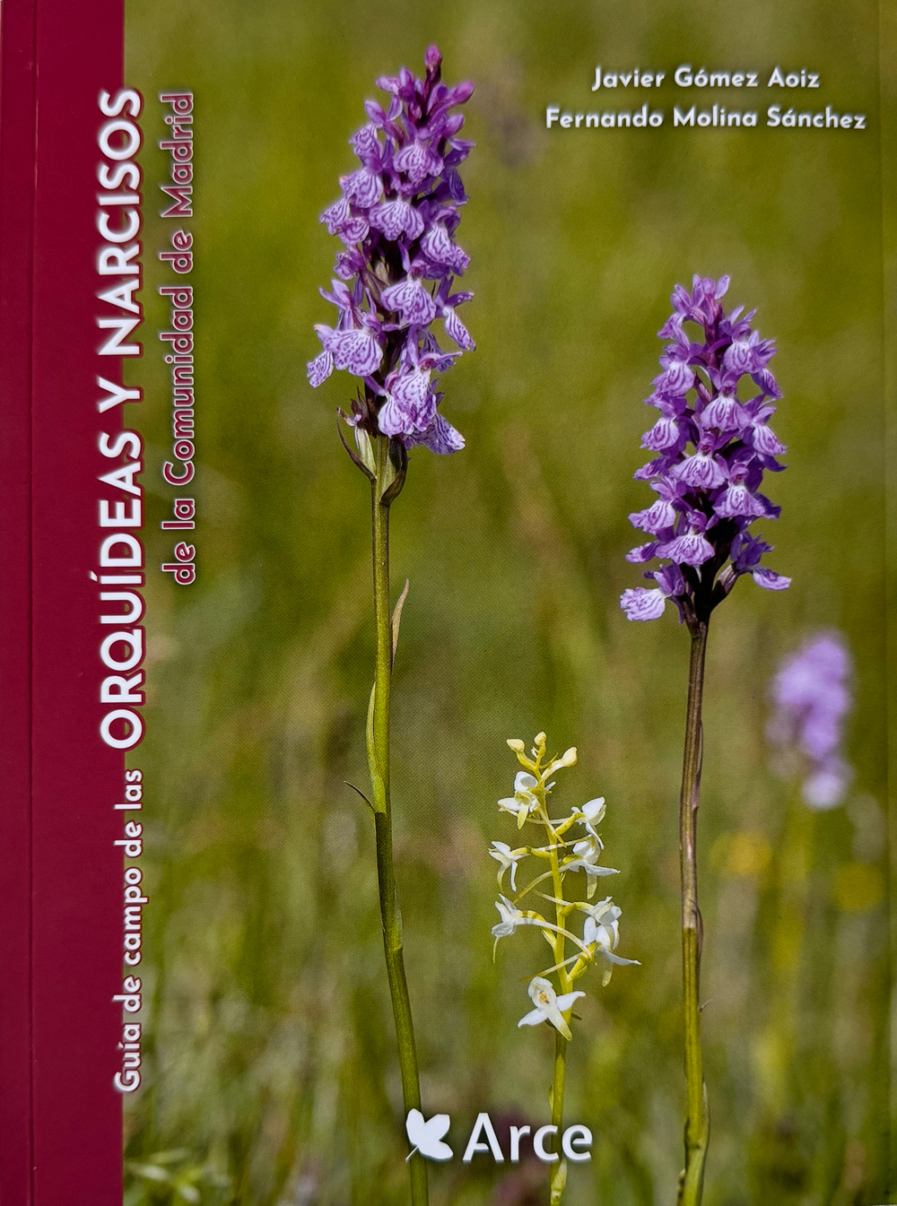 Guía de campo de las Orquídeas y Narcisos