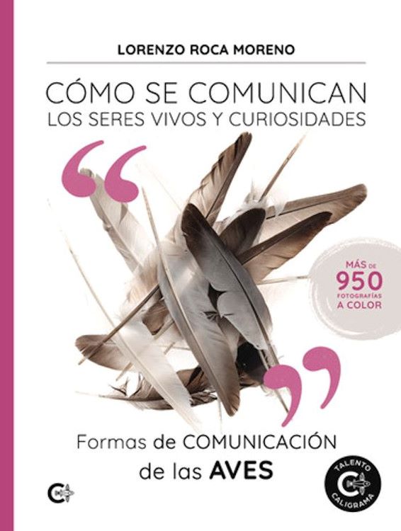 Formas de comunicación de las aves