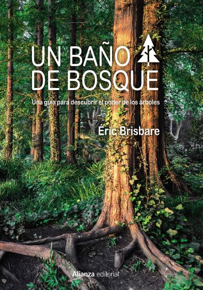 Un baño de bosque