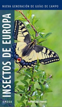 Insectos de Europa Insectos de Europa