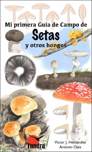 Mi primera Guía de Campo de Setas y otros hongos Mi primera Guía de Campo de Setas y otros hongos