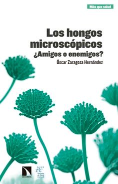 Los hongos microscópicos Los hongos microscópicos