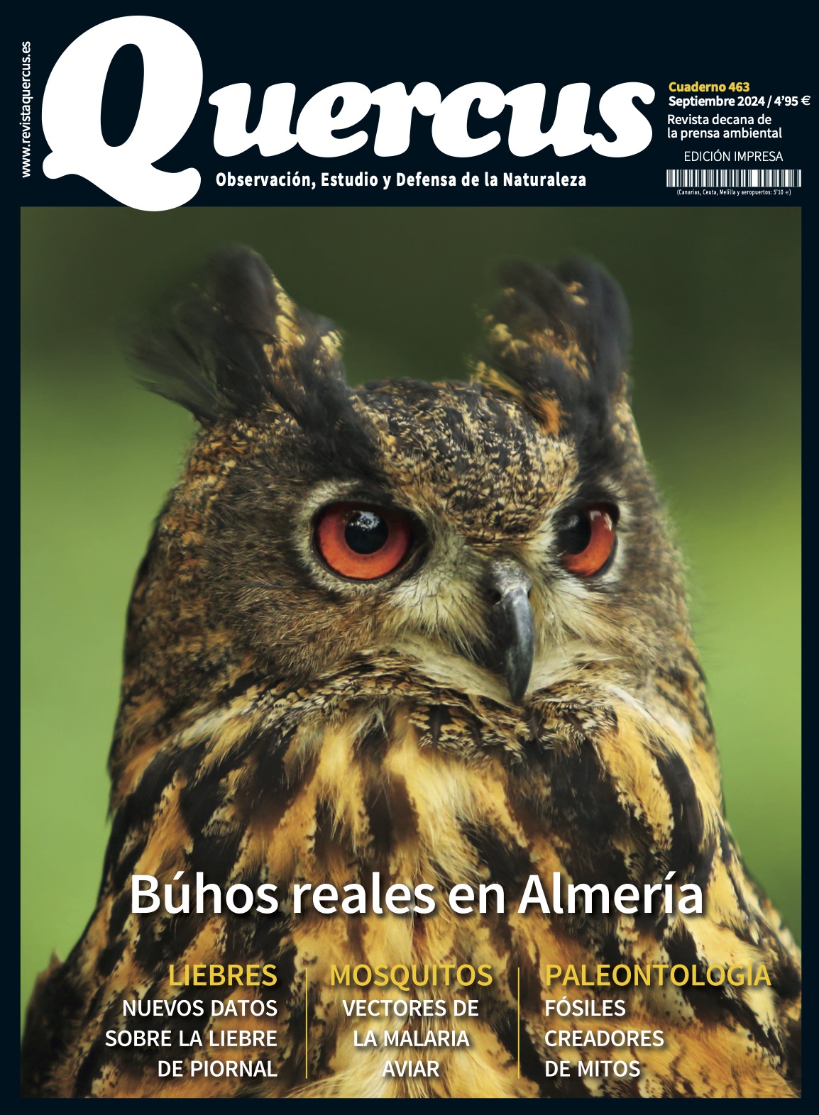 Click para ampliar Quercus 463