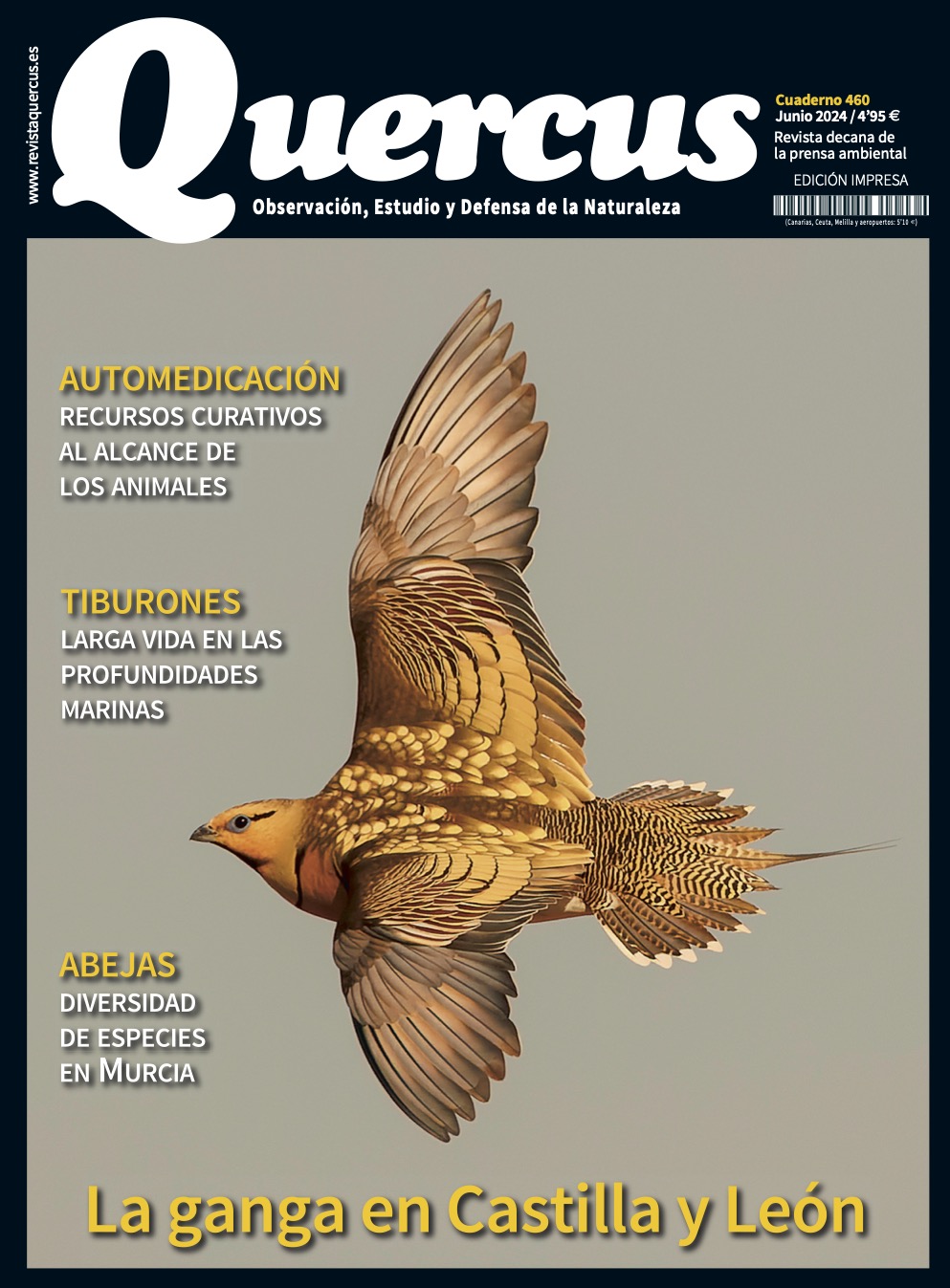 Click para ampliar Quercus 460