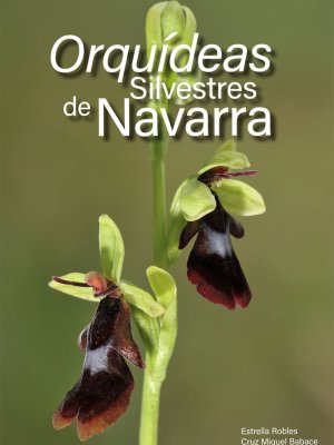 Orquídeas silvestres de Navarra - 9788412230260