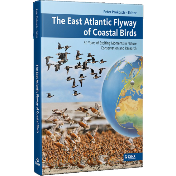 The East Atlantic flyway of coastal birds