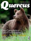 Quercus 408 Quercus 408