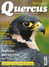 Quercus 362 Quercus 362